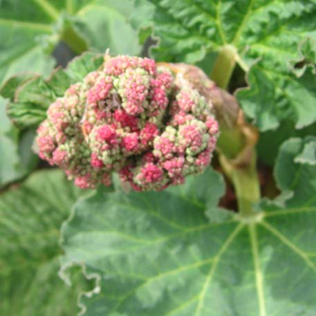 f:id:atarou:20100521055554j:image