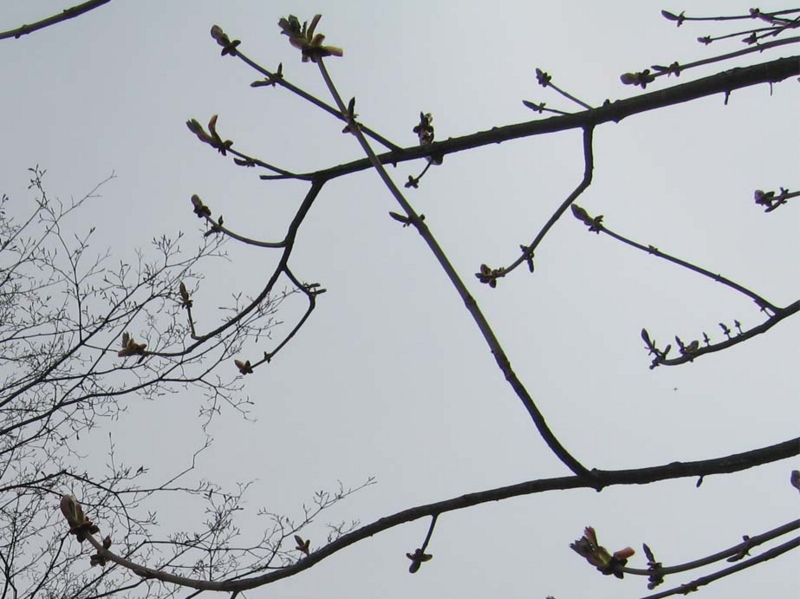 f:id:atarou:20100521055845j:image