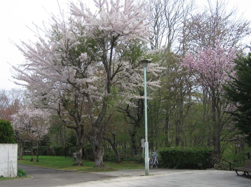 f:id:atarou:20100521060413j:image