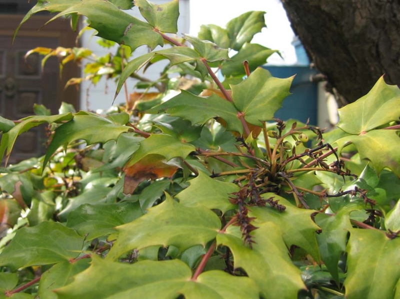 f:id:atarou:20100521061938j:image