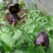 20100525185010