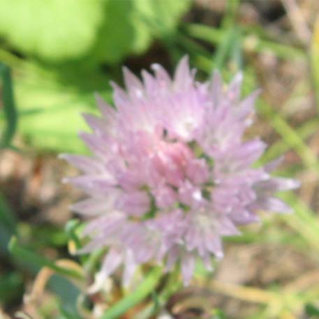 f:id:atarou:20100629055046j:image