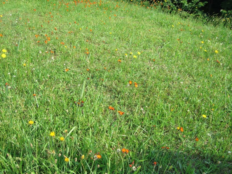 f:id:atarou:20100629062221j:image