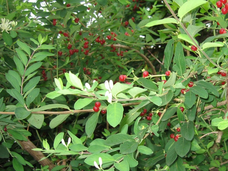 f:id:atarou:20100721063053j:image