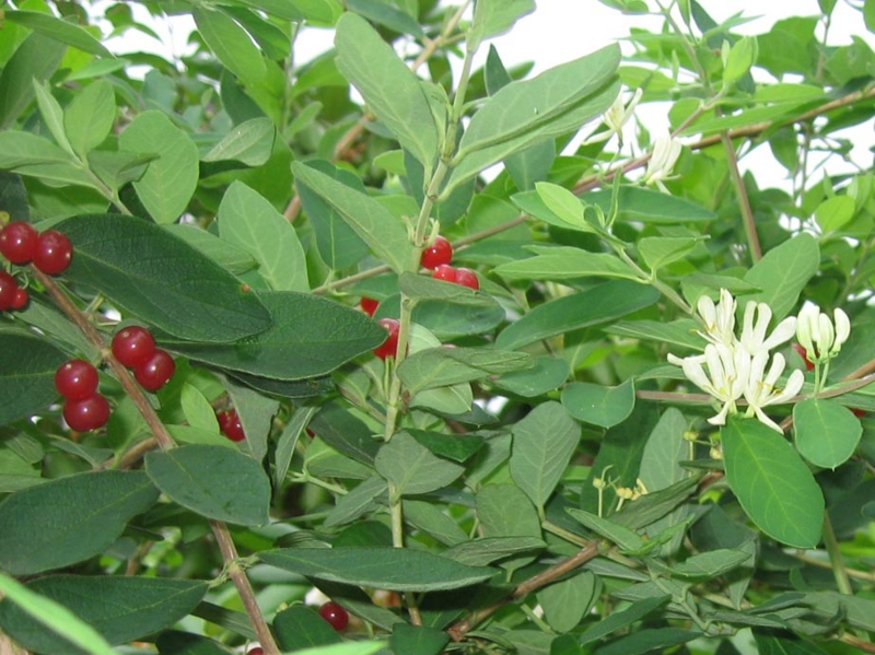 f:id:atarou:20100721063054j:image