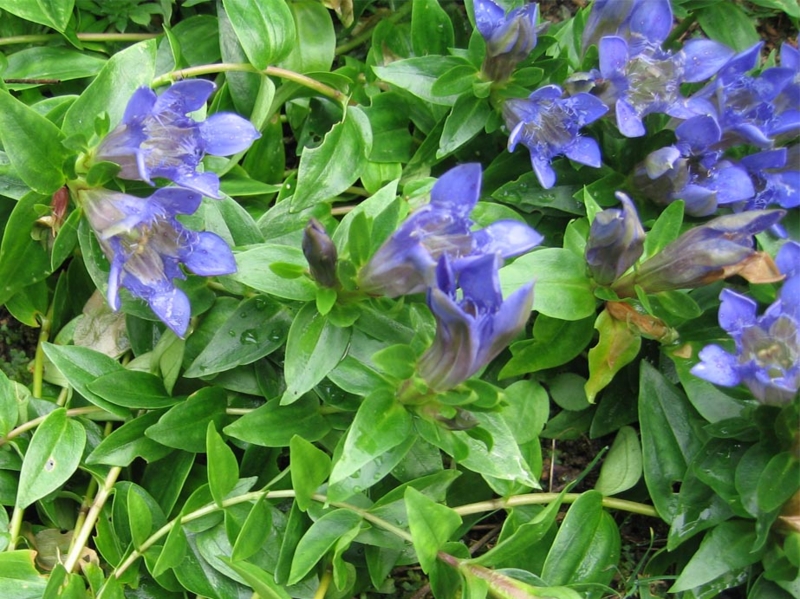 f:id:atarou:20100825213617j:image