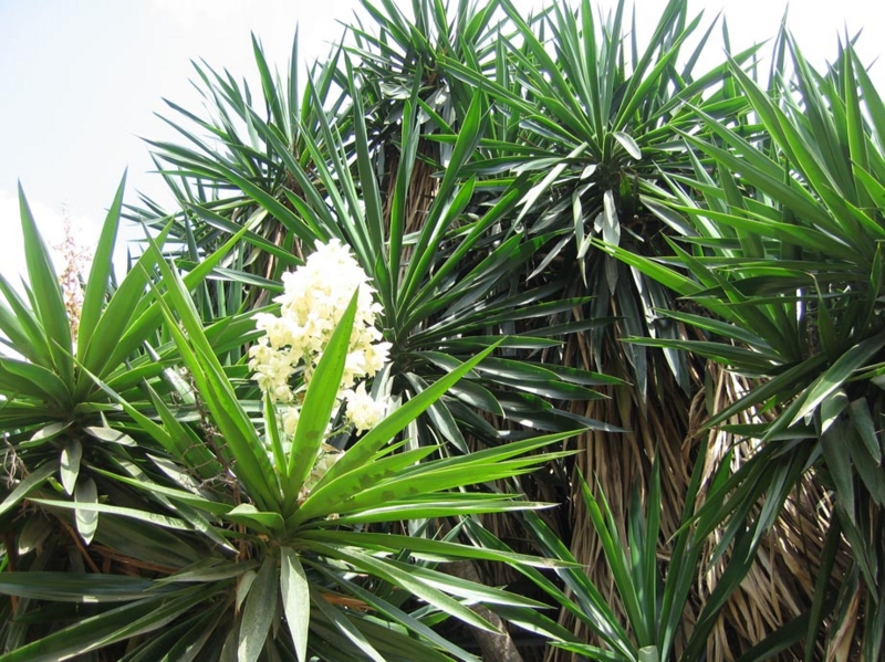 f:id:atarou:20100828204337j:image