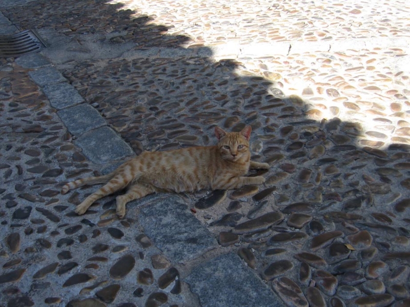 f:id:atarou:20100904221505j:image