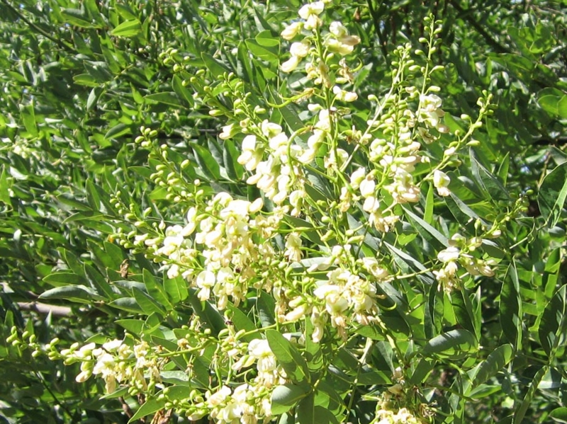 f:id:atarou:20100905063035j:image