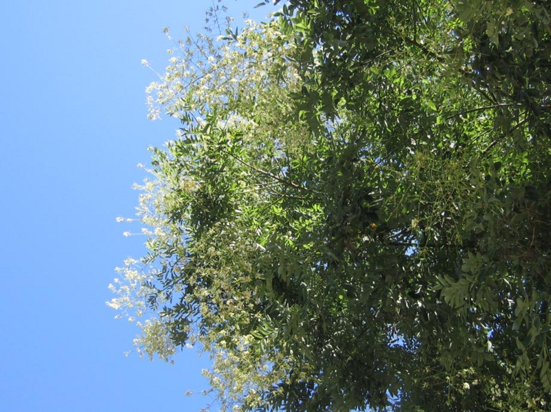 f:id:atarou:20100905063036j:image