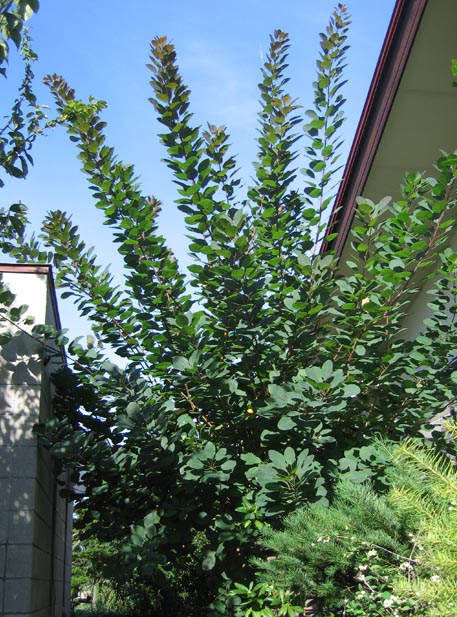 f:id:atarou:20100907202041j:image