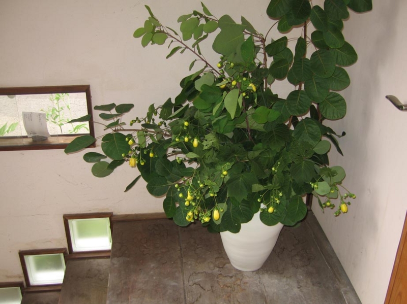 f:id:atarou:20100908071842j:image