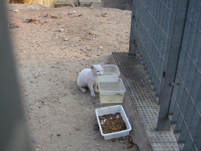 f:id:atarou:20100909043443j:image