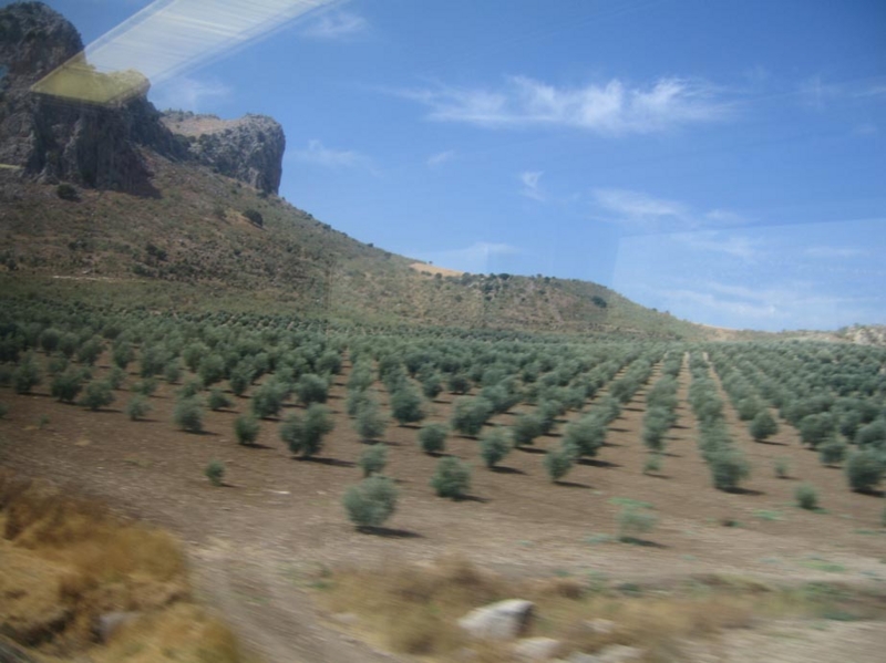 f:id:atarou:20100909205929j:image