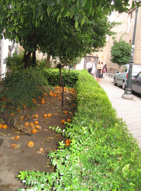 f:id:atarou:20100912051146j:image