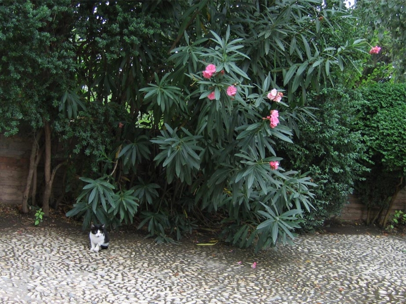 f:id:atarou:20100912174908j:image f:id:atarou:20100912174908j:image