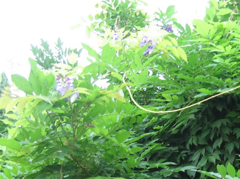 f:id:atarou:20100915162640j:image