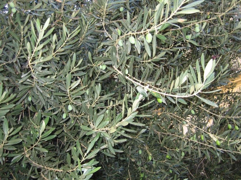f:id:atarou:20100917191642j:image f:id:atarou:20100917191642j:image