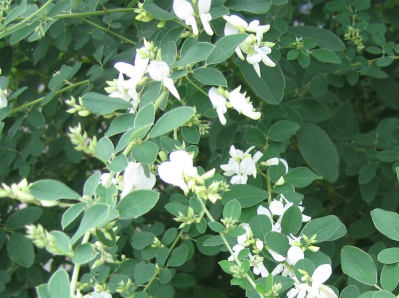 f:id:atarou:20100919054530j:image
