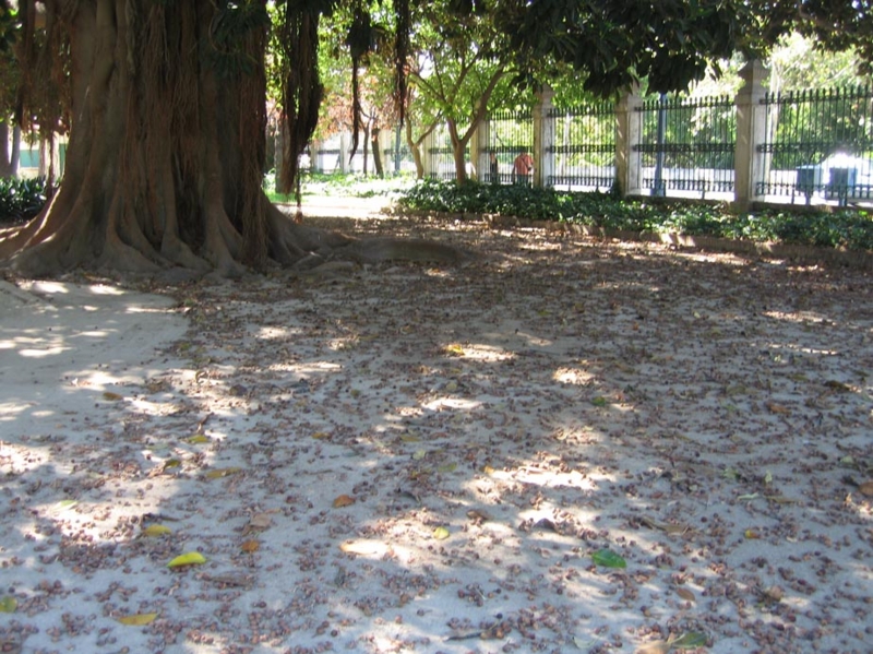 f:id:atarou:20100919200447j:image
