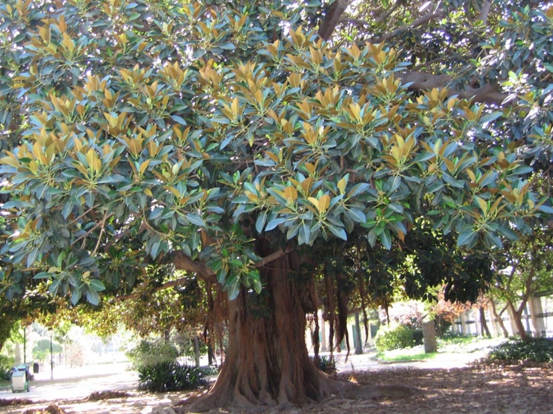f:id:atarou:20100919200451j:image