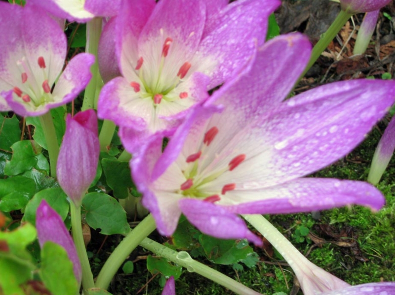 f:id:atarou:20100922064811j:image
