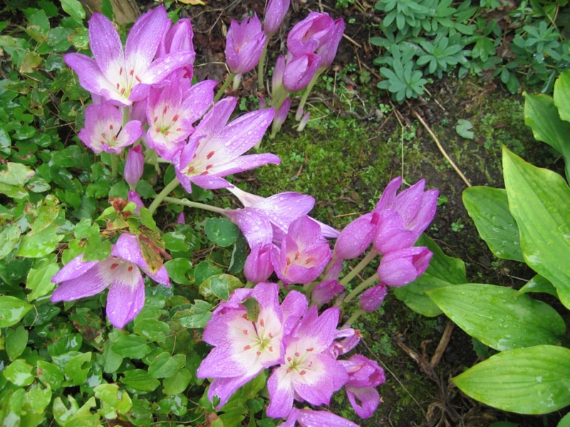 f:id:atarou:20100922064813j:image