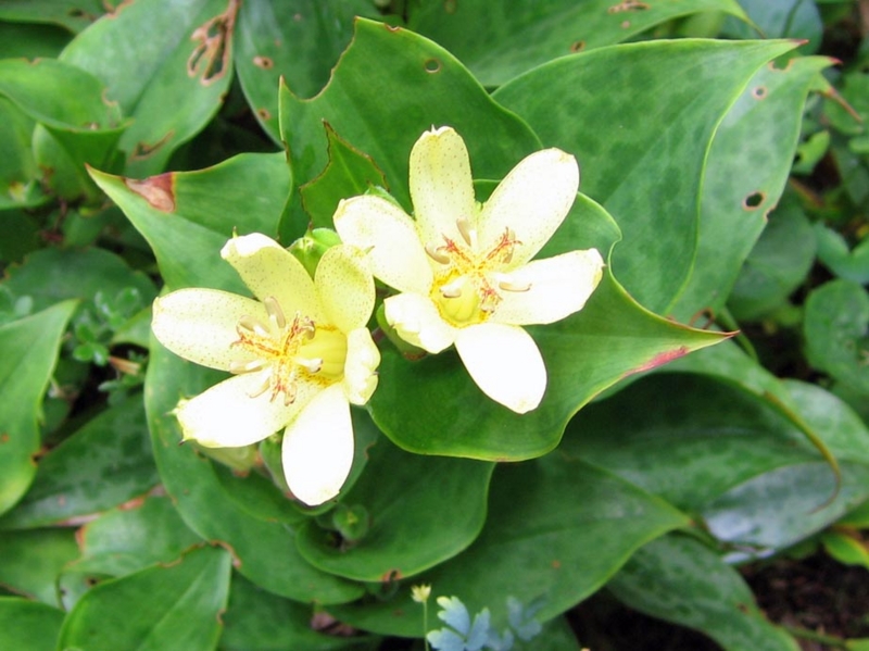 f:id:atarou:20100922065133j:image