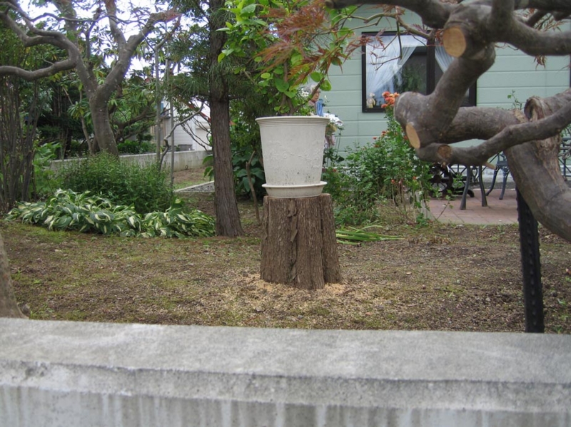 f:id:atarou:20100924173250j:image