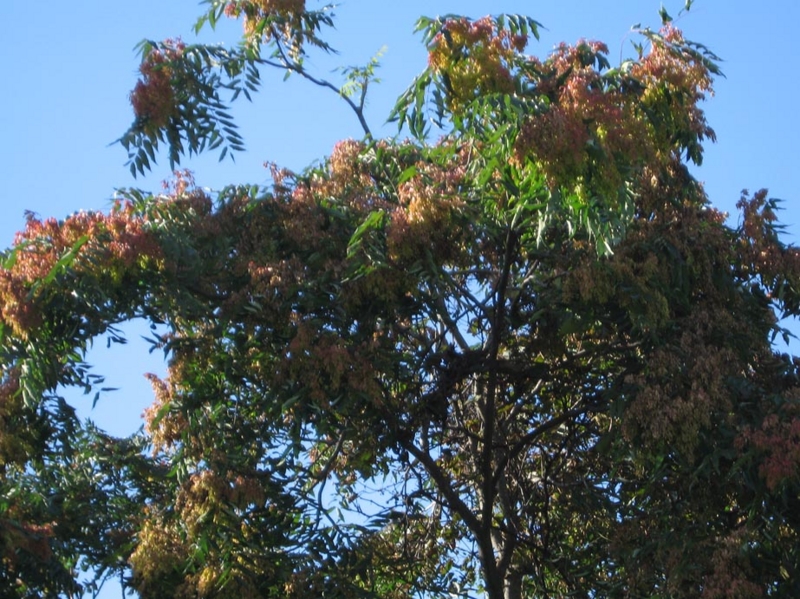 f:id:atarou:20100924181354j:image
