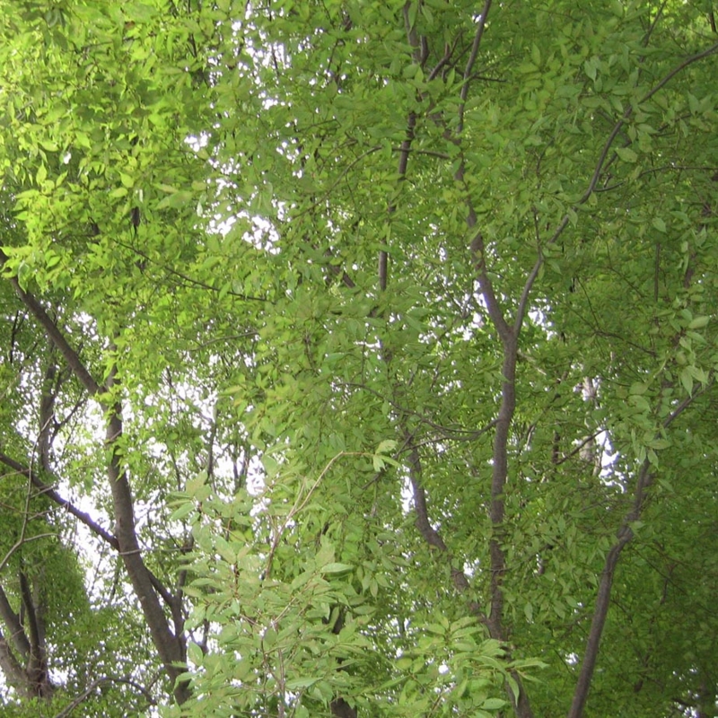 f:id:atarou:20100925191624j:image f:id:atarou:20100925191624j:image
