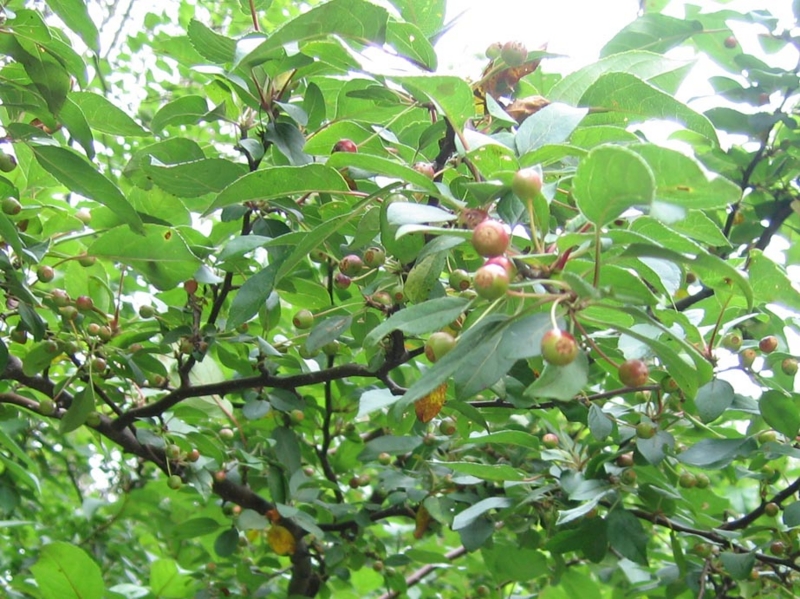 f:id:atarou:20100925194240j:image f:id:atarou:20100925194240j:image