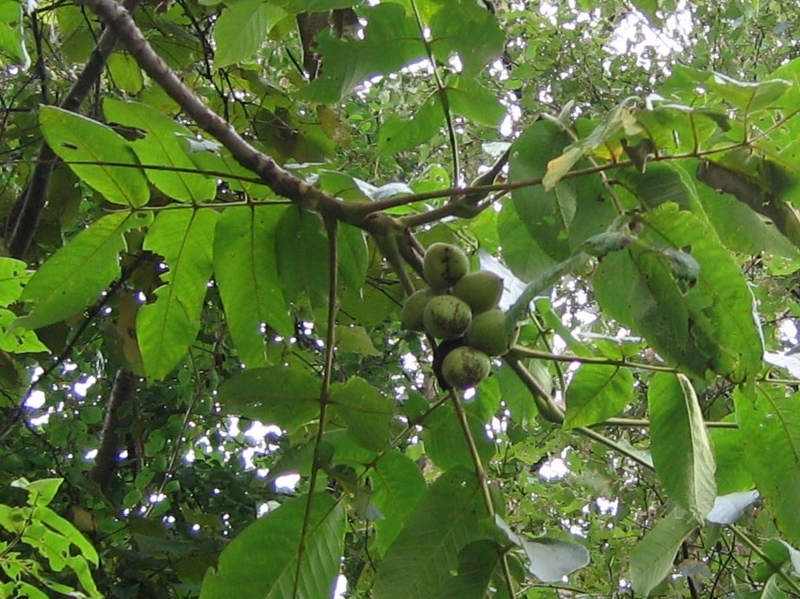 f:id:atarou:20100925194242j:image f:id:atarou:20100925194242j:image
