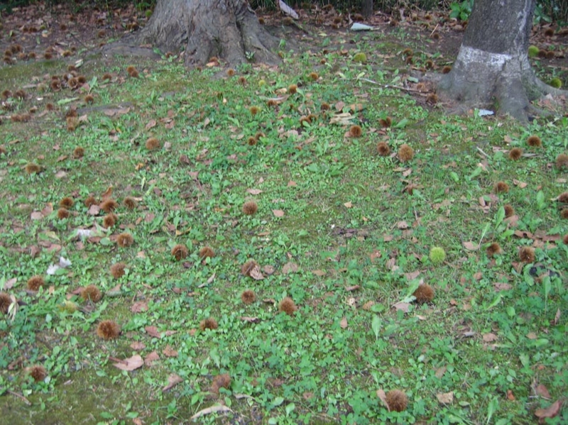 f:id:atarou:20100925195243j:image f:id:atarou:20100925195243j:image
