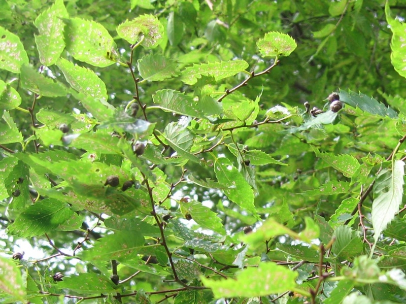 f:id:atarou:20100926062854j:image f:id:atarou:20100926062854j:image