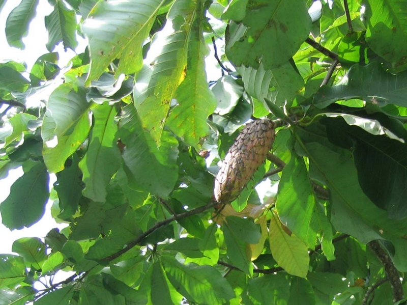 f:id:atarou:20100926185807j:image