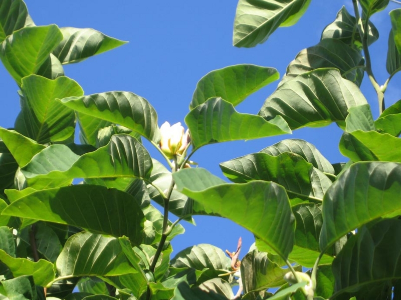 f:id:atarou:20100926191153j:image