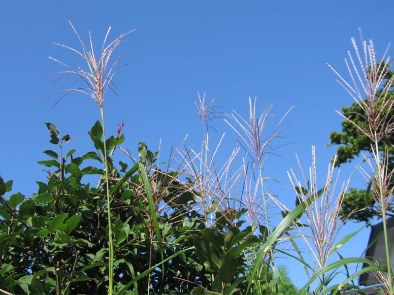 f:id:atarou:20100927154420j:image