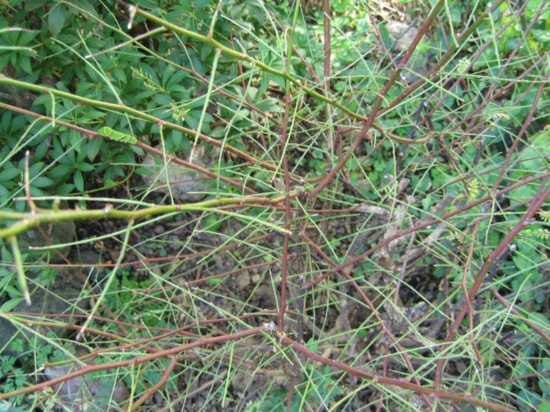 f:id:atarou:20100927155122j:image