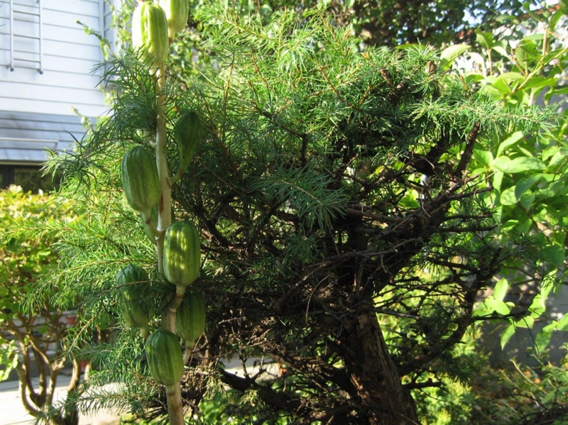 f:id:atarou:20100927155125j:image