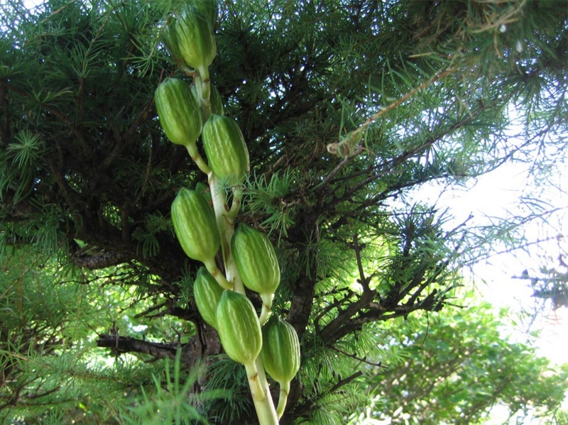 f:id:atarou:20100927155127j:image