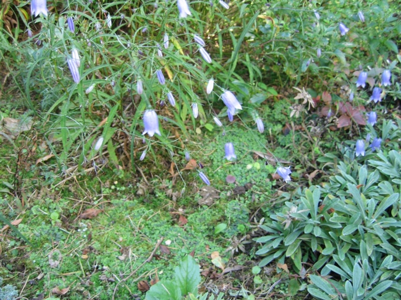 f:id:atarou:20100927165228j:image