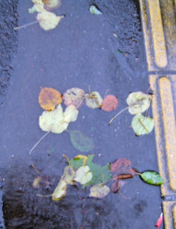 f:id:atarou:20100928201558j:image