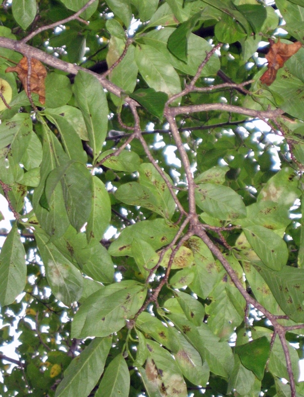 f:id:atarou:20101013190338j:image f:id:atarou:20101013190338j:image