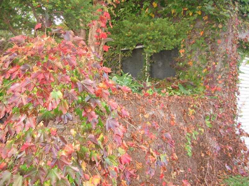f:id:atarou:20101013191247j:image f:id:atarou:20101013191247j:image