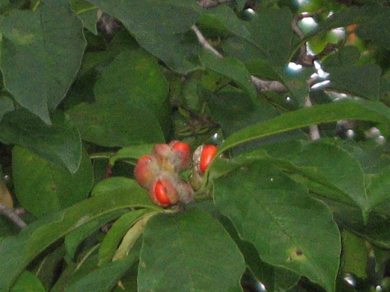 f:id:atarou:20101013192019j:image f:id:atarou:20101013192019j:image