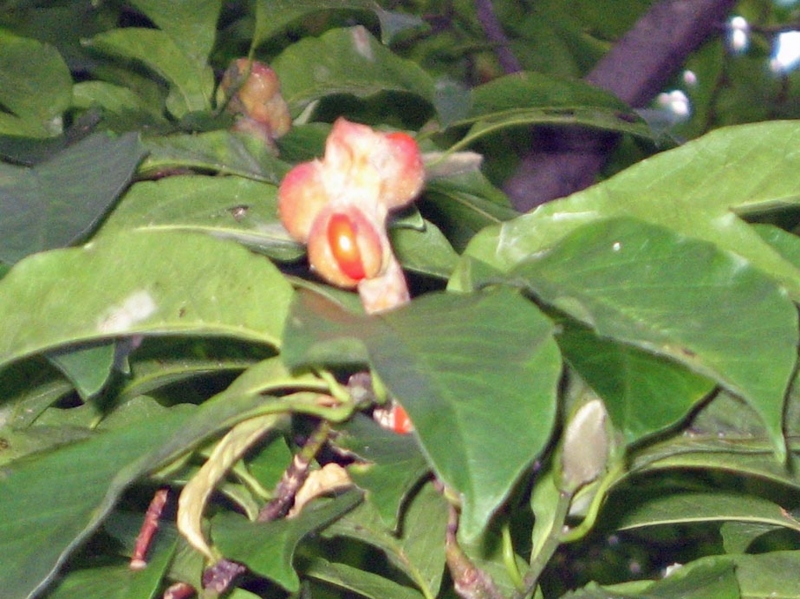 f:id:atarou:20101013192024j:image f:id:atarou:20101013192024j:image