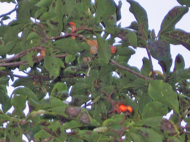 f:id:atarou:20101013192025j:image f:id:atarou:20101013192025j:image