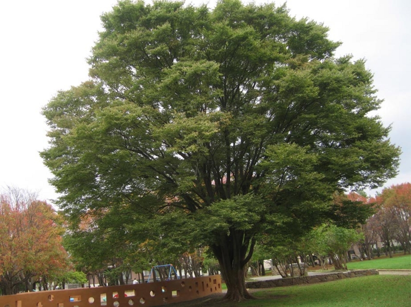 f:id:atarou:20101013192347j:image f:id:atarou:20101013192347j:image
