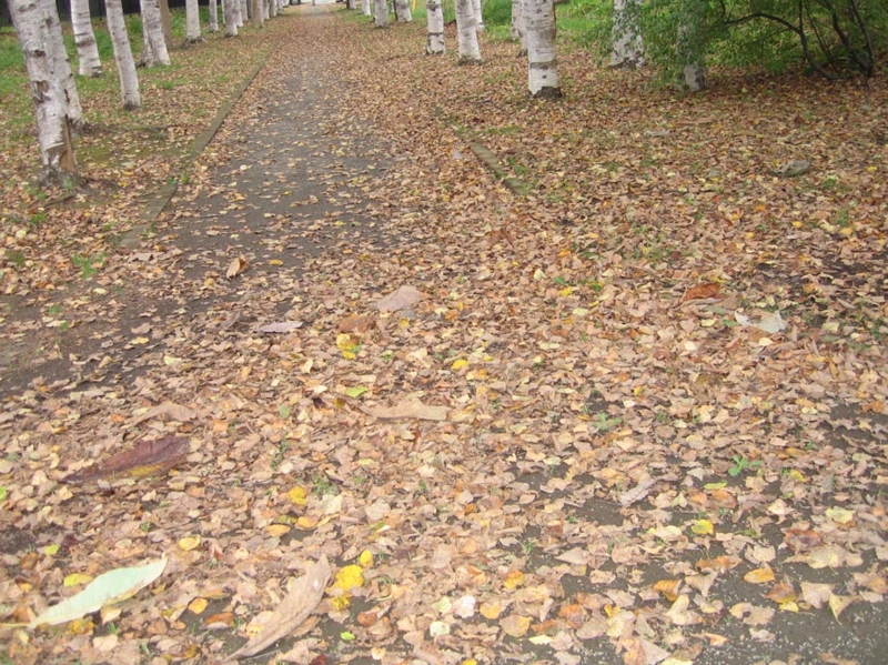 f:id:atarou:20101014060308j:image f:id:atarou:20101014060308j:image